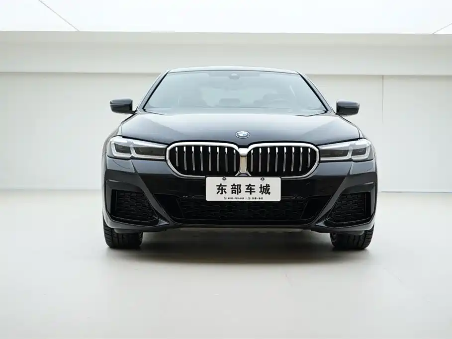 BMW 5 Series 2021 530Li xDrive M Sport Package фото 2