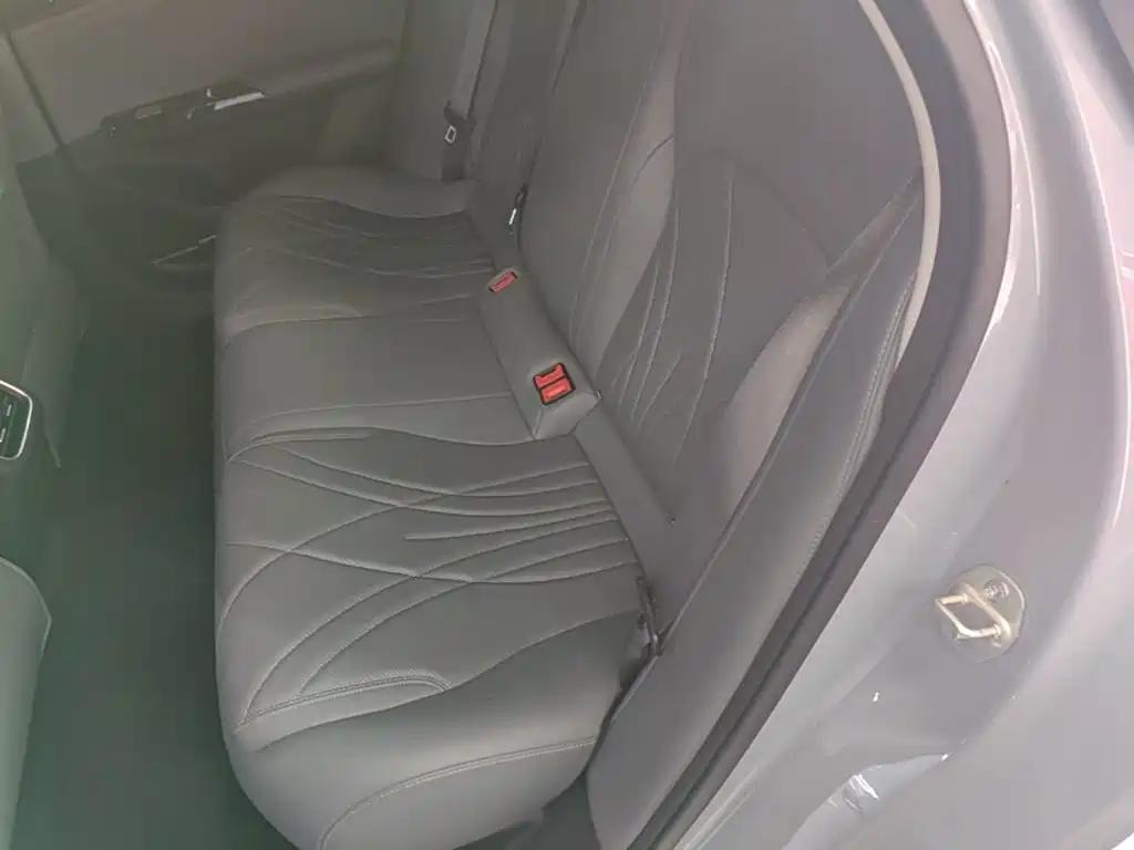 Geely Galaxy Galaxy L6 2025 2025 EM-i 60km Voyage Edition