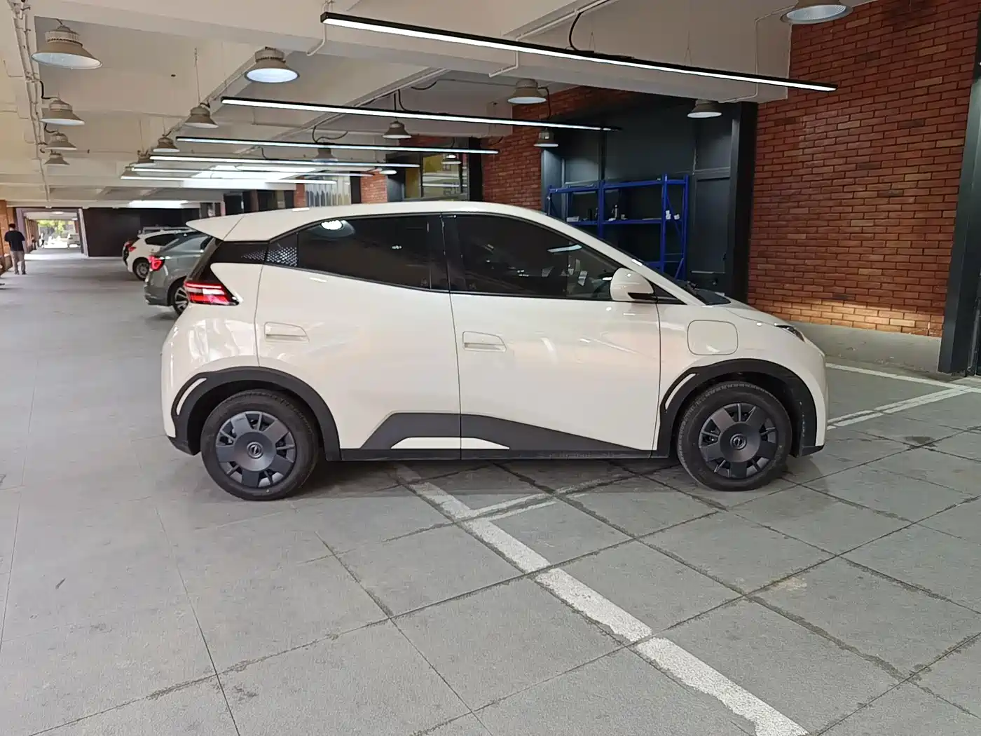 BYD Seagull 2026 2025 Smart Drive Edition 305km Vitality Version