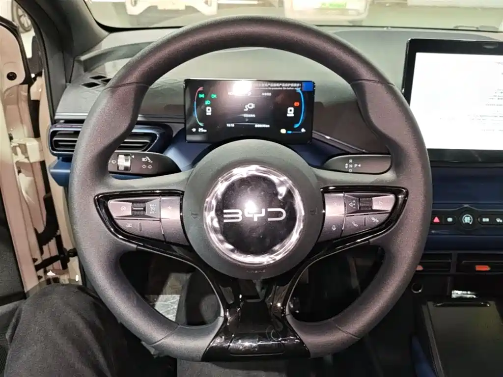 BYD Seagull 2025 Smart Drive Edition 305km Vitality Version фото 11
