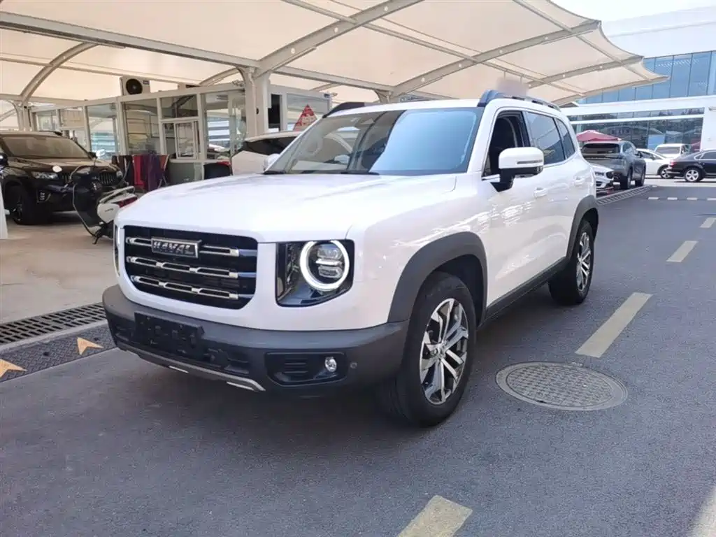 Haval Big Dog 2021 1.5T DCT 2WD Border Collie Edition