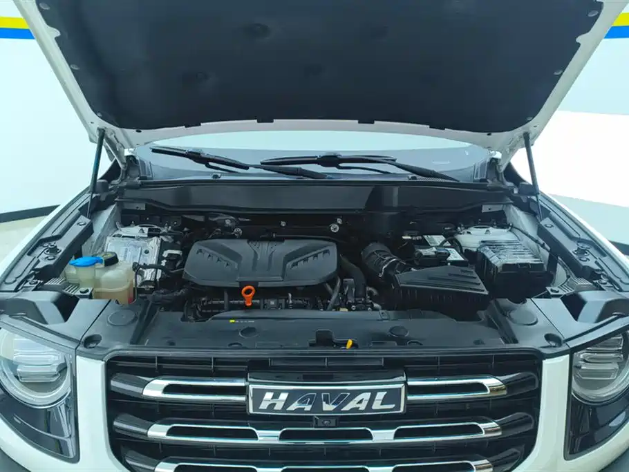 Haval Big Dog 2021 2.0T DCT 2WD Chinese Hound Edition фото 10