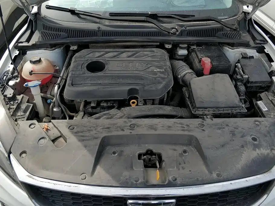 GEELY AUTOMOBILE BINRUI