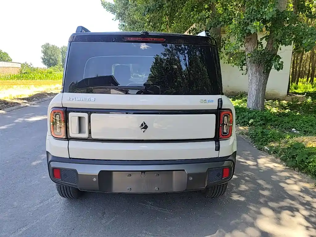 Baojun Yueye Plus 2025 2026 301km Flagship