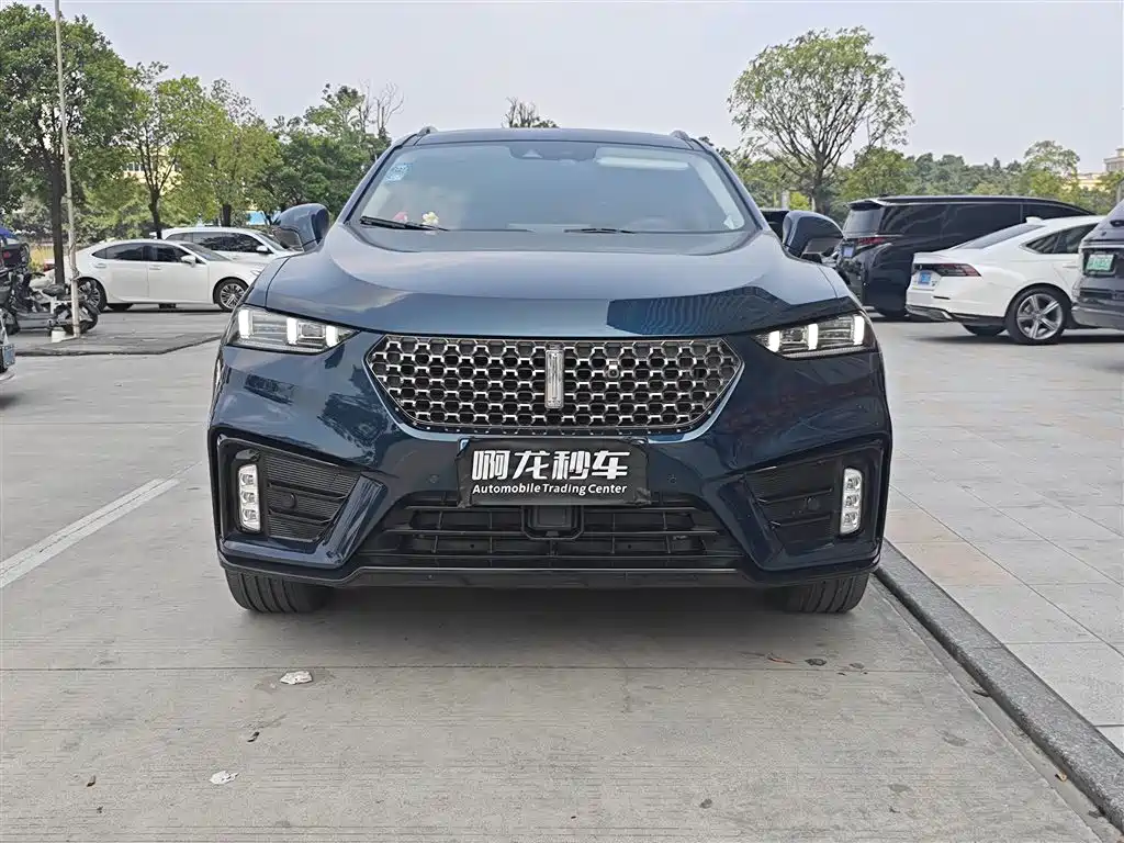 WEY VV7 2020 2020 Model 2.0T Flagship