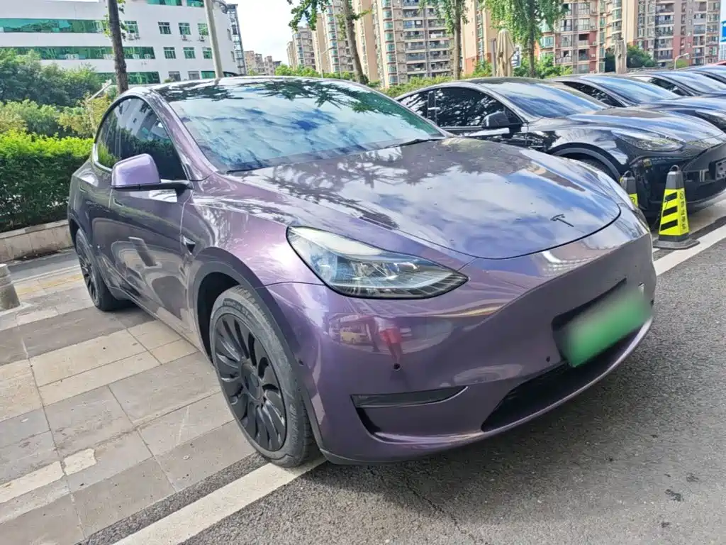 Tesla Model Y 2021 2021 Long Range All-Wheel Drive 3D7