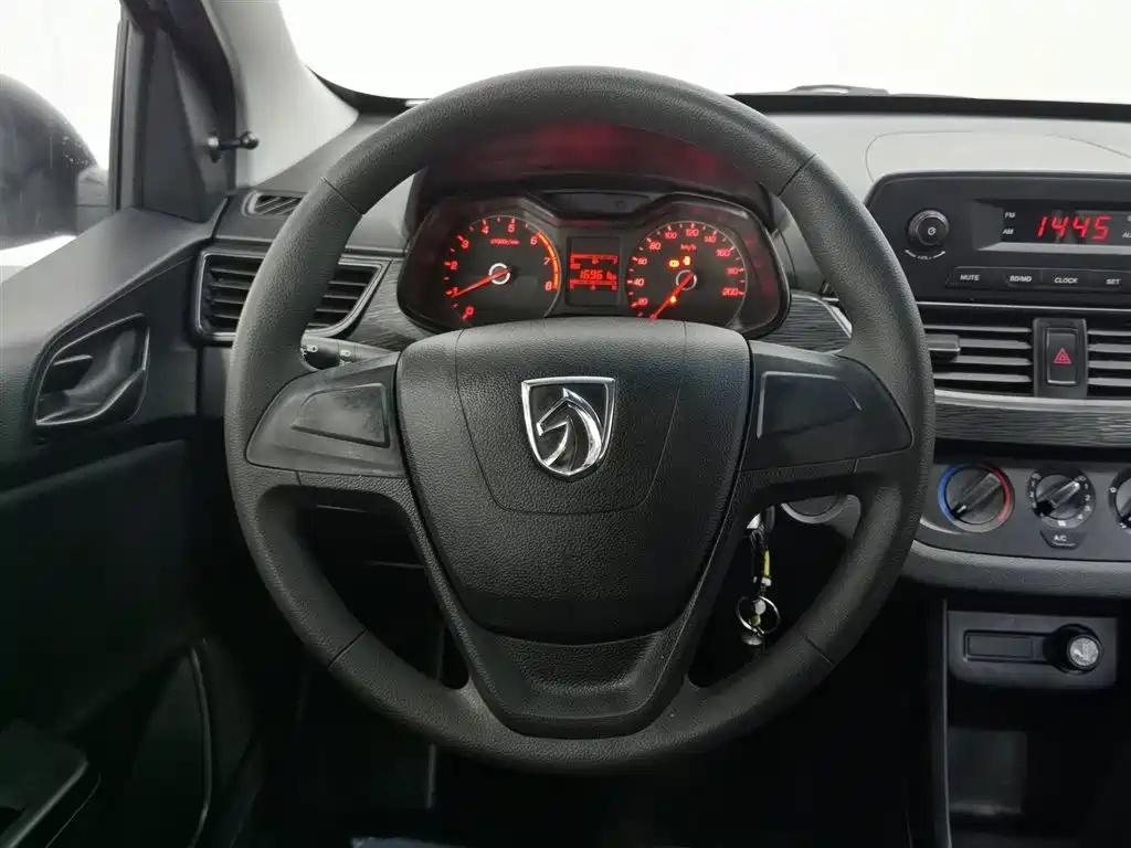 BAOJUN 310
