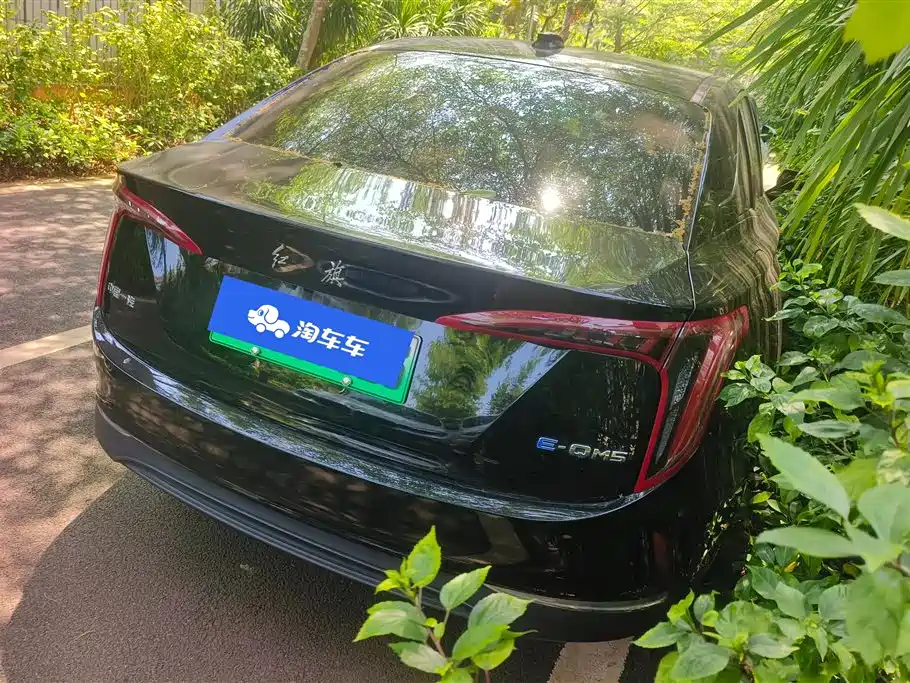 Hongqi HONGQI E QM5