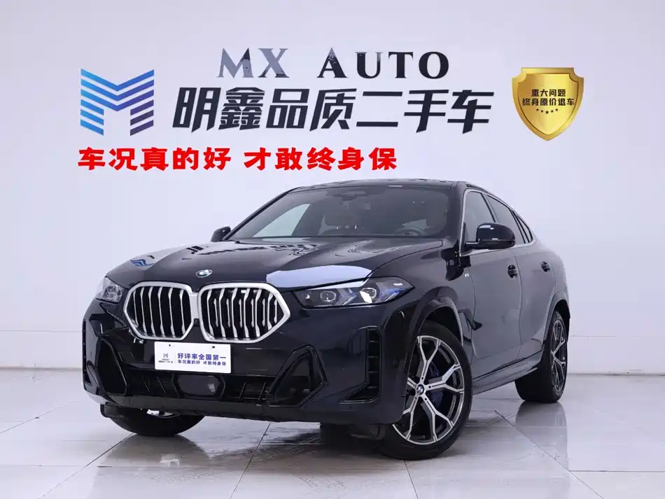 Photo 1 - BMW X6