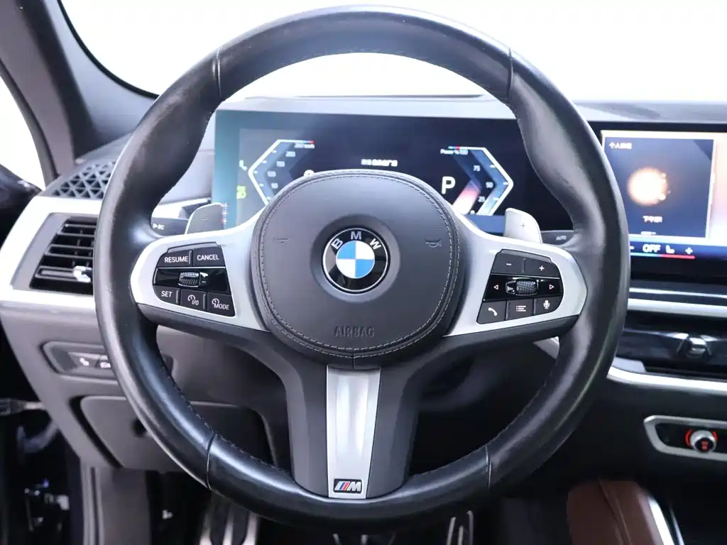 Photo 16 - BMW X6