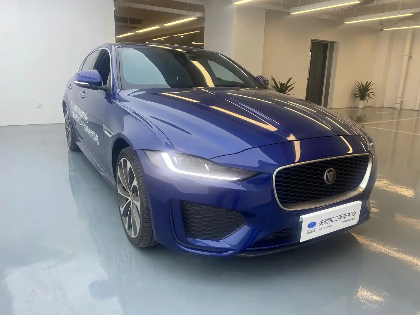 Фото 3 - Jaguar XEL
