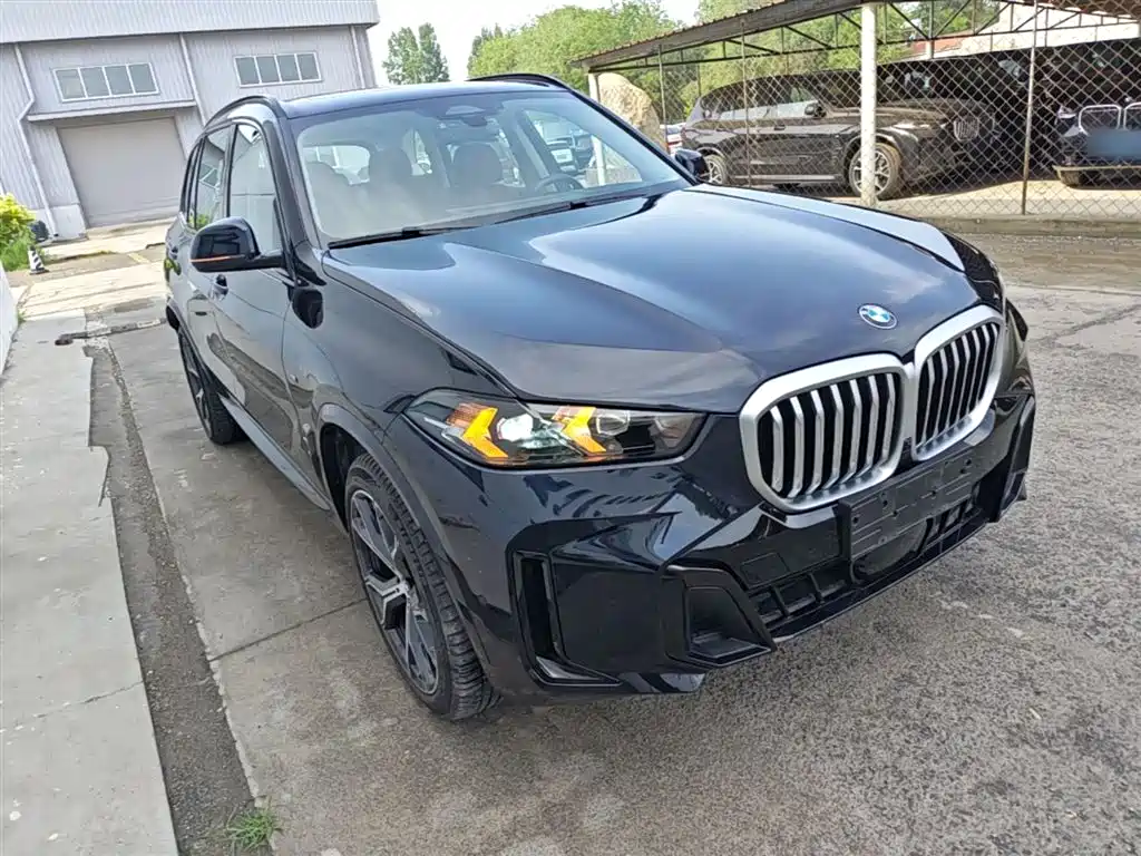 BMW X5 2023 xDrive 30Li Premium M Sport Black Night Package фото 4