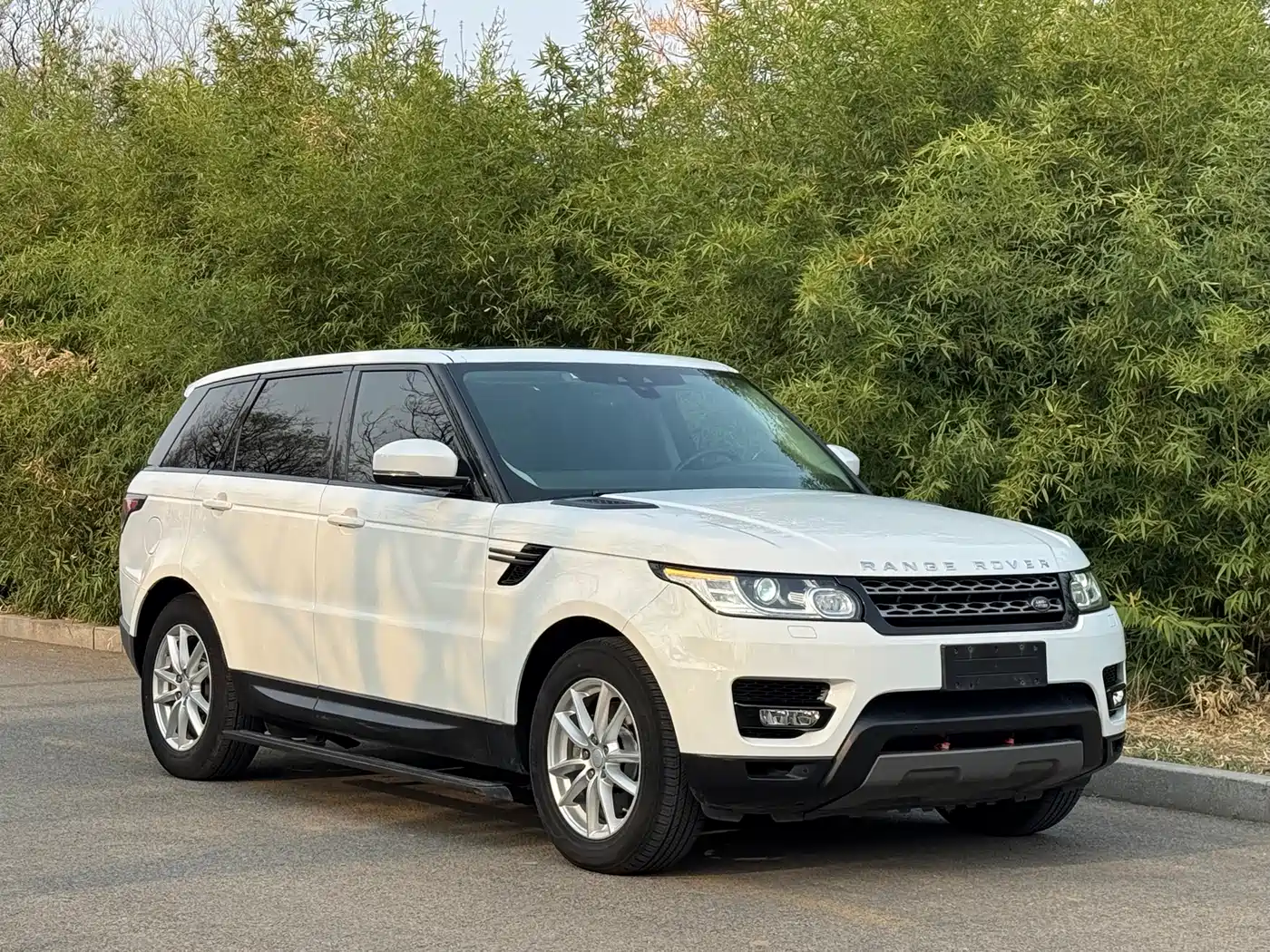 Land Rover Range Rover Sport 2017 3.0 SC V6 SE фото 3
