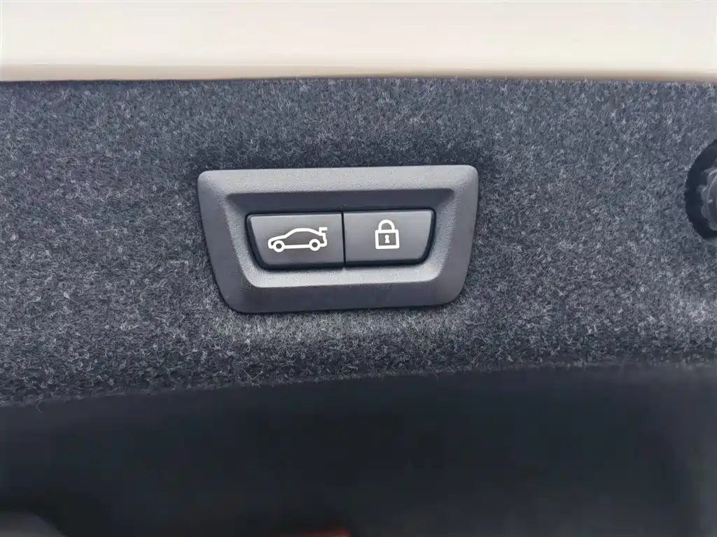 BMW 5 Series 2019 Facelift 530Li Premium M Sport Package фото 46