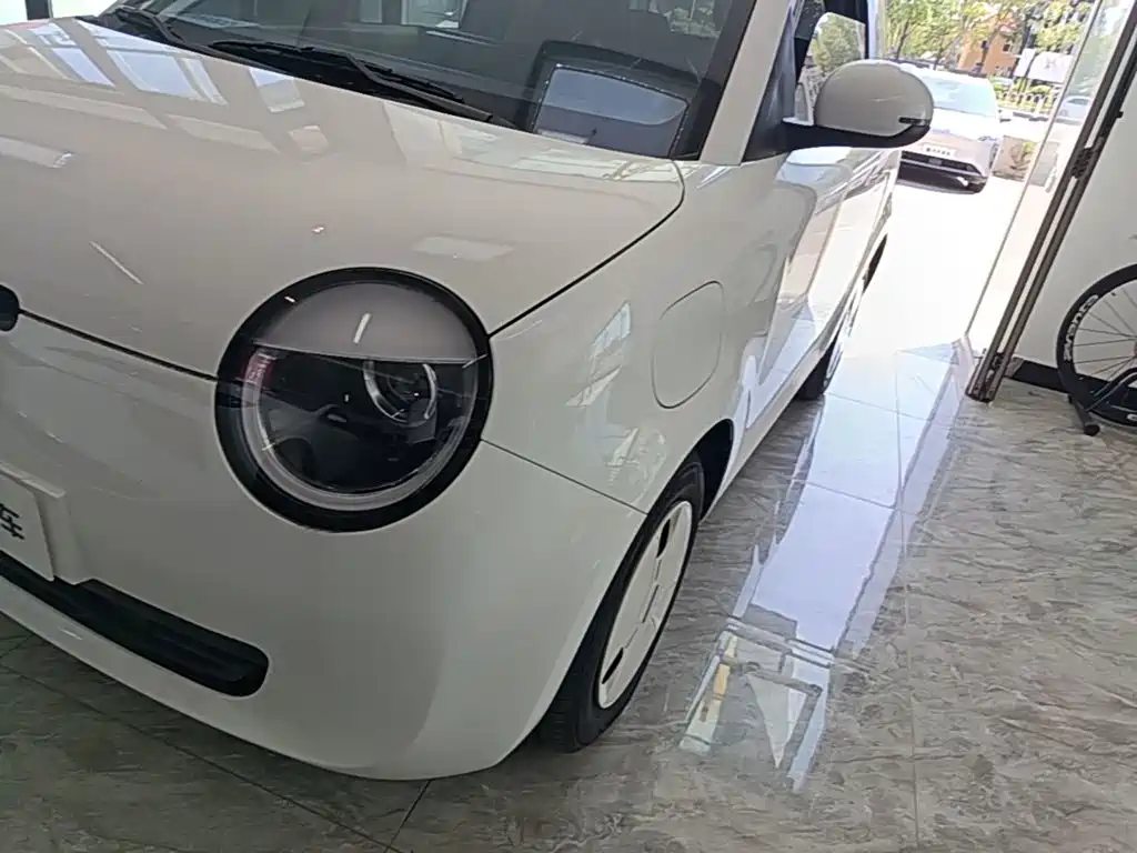 Changan Lumin 2025 2025 Model 205km Fresh Edition