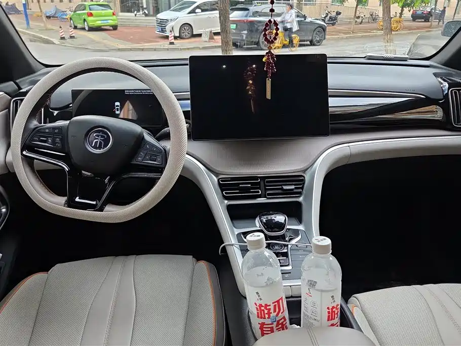 BYD Song Pro New Energy 2023 Champion Edition DM-i 110KM Excellence фото 12