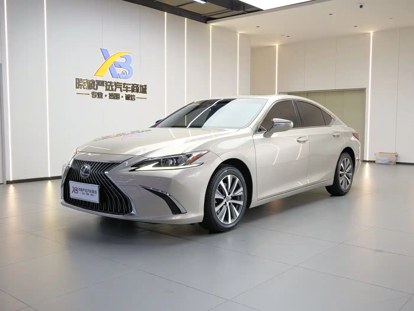 Lexus ES 2020 Model 260 Excellence Edition China V