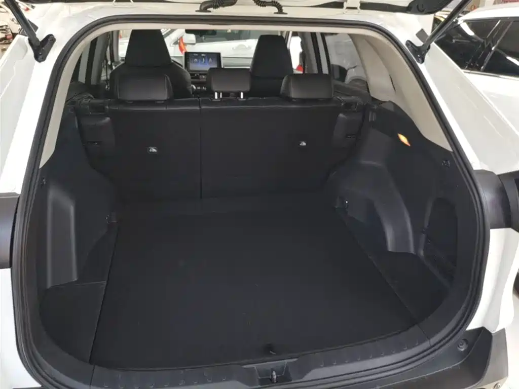Toyota RAV4 Rongfang 2020 2.0L CVT 2WD Fashion PLUS фото 19