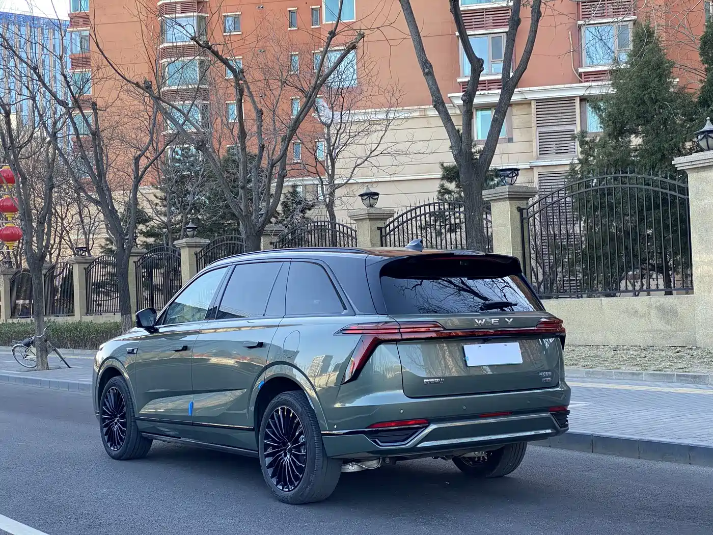 WEI PAI WEI BRAND BLUE MOUNTAIN