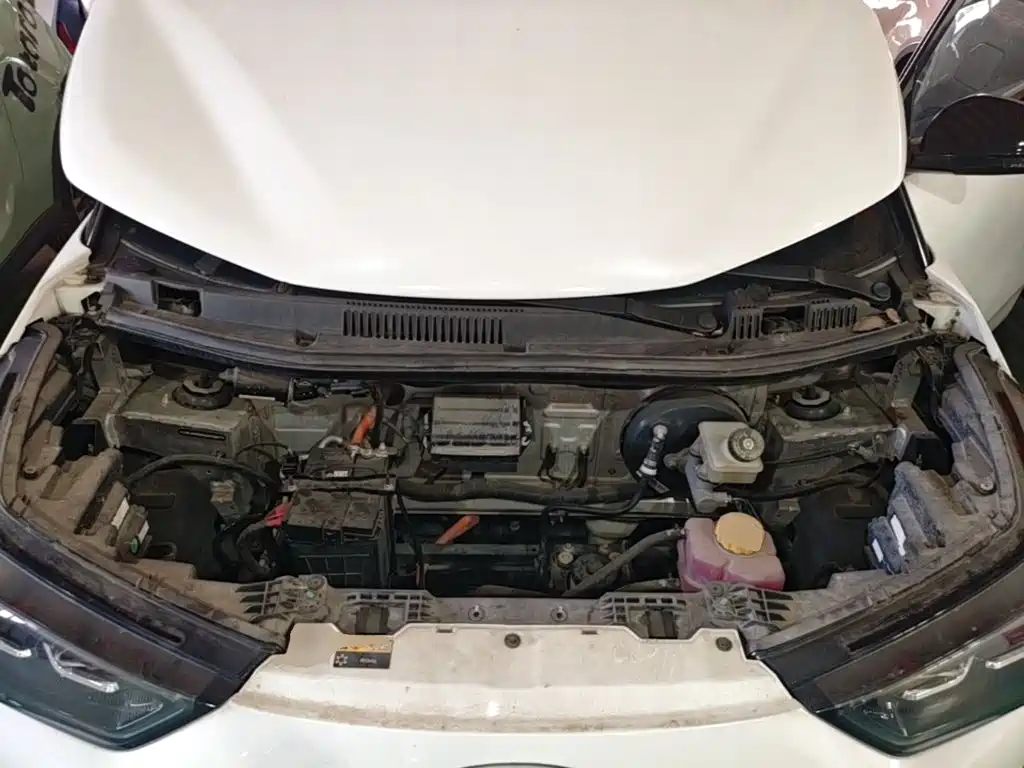 Chery New Energy Chery Wujie Pro 2022 2022 301km Warcraft Edition LFP