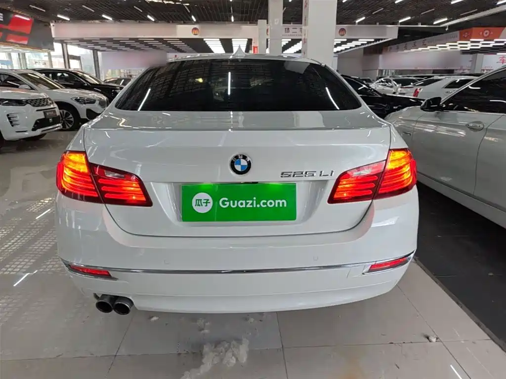 BMW 5 Series 2014 525Li Luxury Design Package фото 6