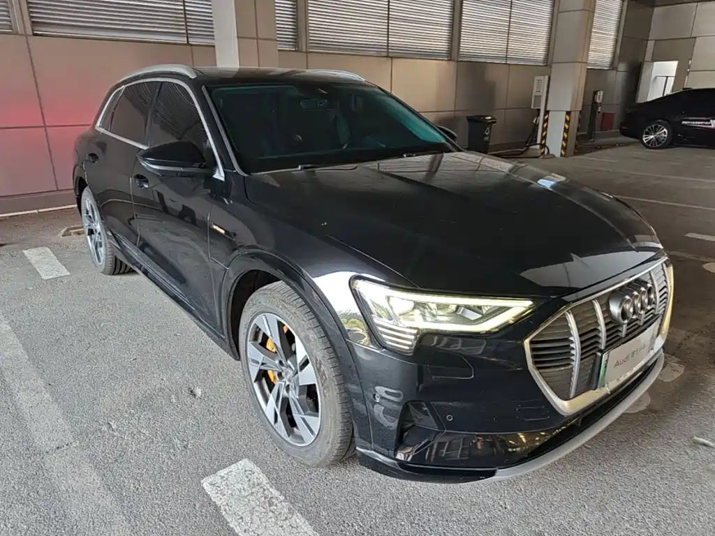 Audi e-tron (Import) 2021 2019 55 quattro Technology