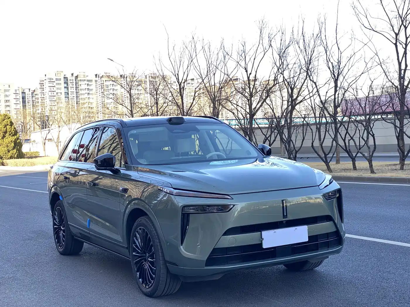 WEI PAI WEI BRAND BLUE MOUNTAIN