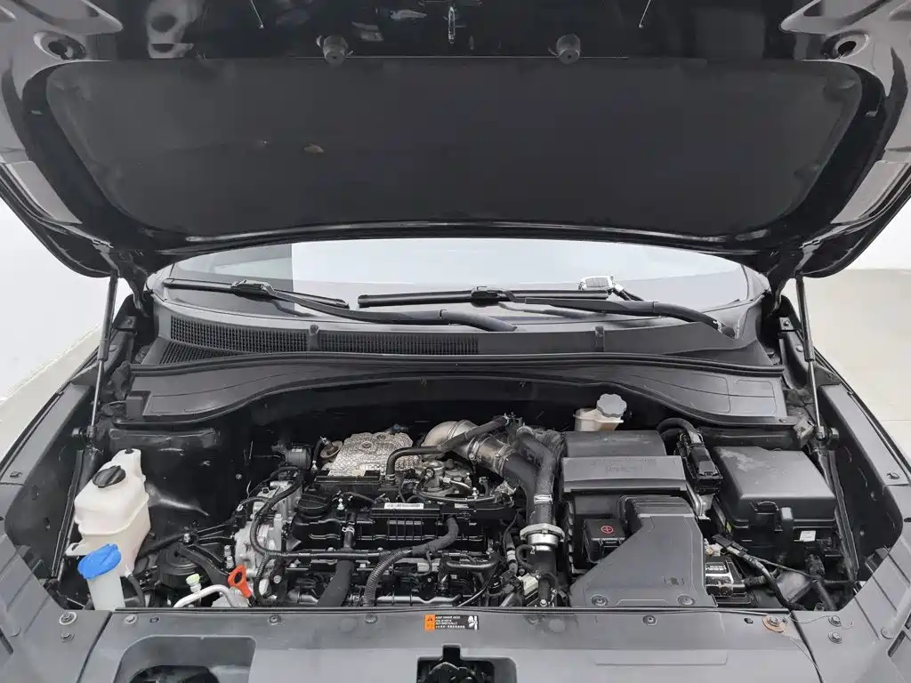 Kia KX7 2019 2017 2.0T Automatic 4WD DLX 7-Seater