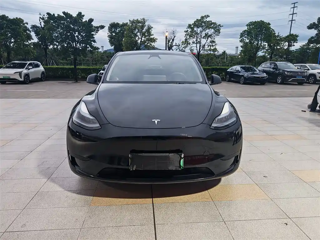 Фото 2 - Tesla Model Y