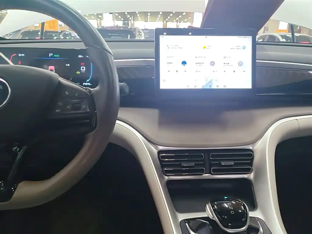 BYD Song Pro New Energy 2024 Glory Edition DM-i 71KM Leading фото 10