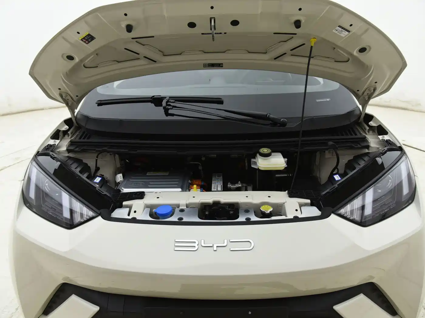 BYD Seagull 2023 Vitality Edition фото 12