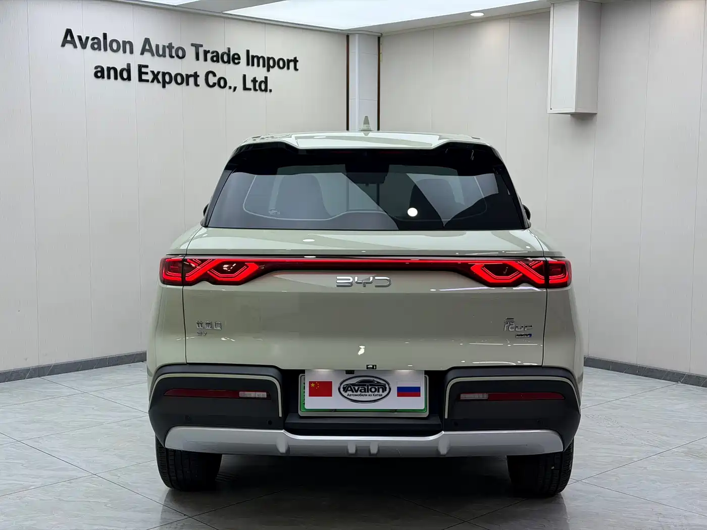 BYD Yuan UP 2025 2025 Smart Drive Edition 401KM Vitality Version