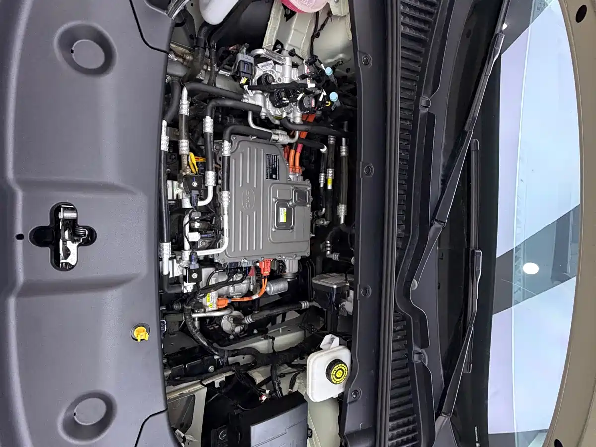 BYD Yuan UP 2025 2025 Smart Drive Edition 401KM Vitality Version