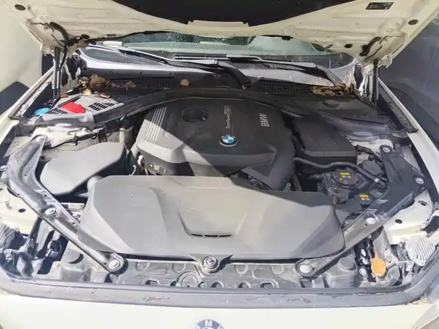BMW 2 Series (Import) 2019 225i Convertible Coupe Sport Design Package — фото 3