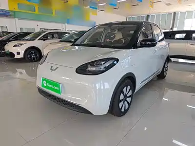 Wuling Bingo