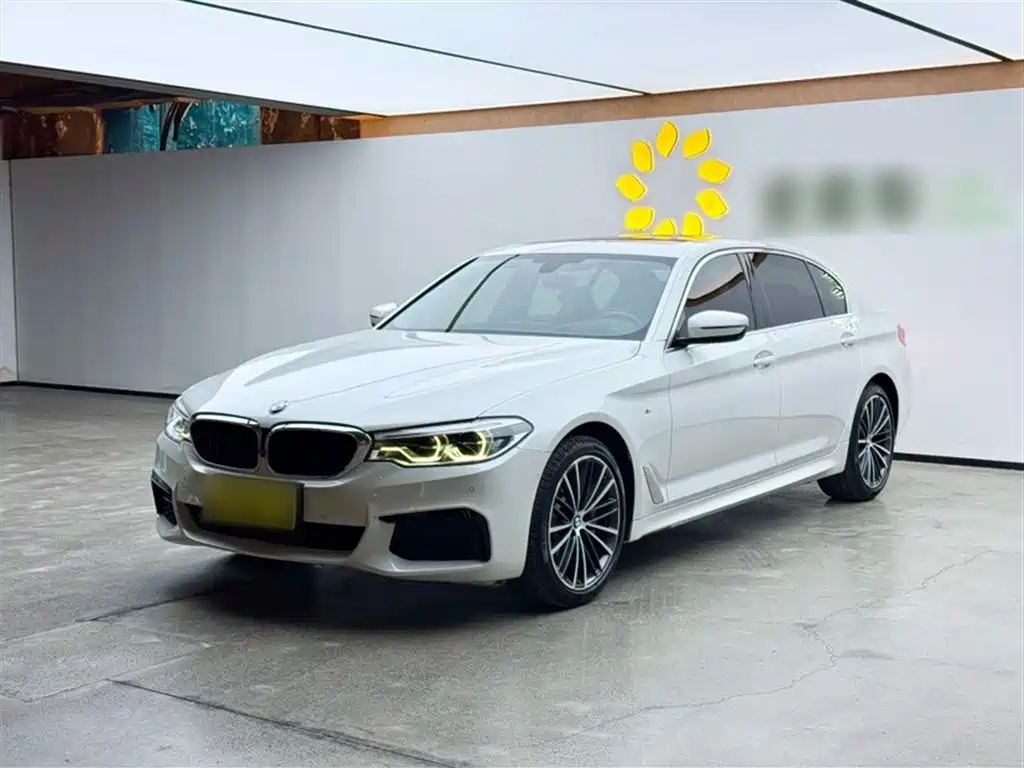 BMW 5 Series 2020 530Li Exclusive M Sport Package фото 2