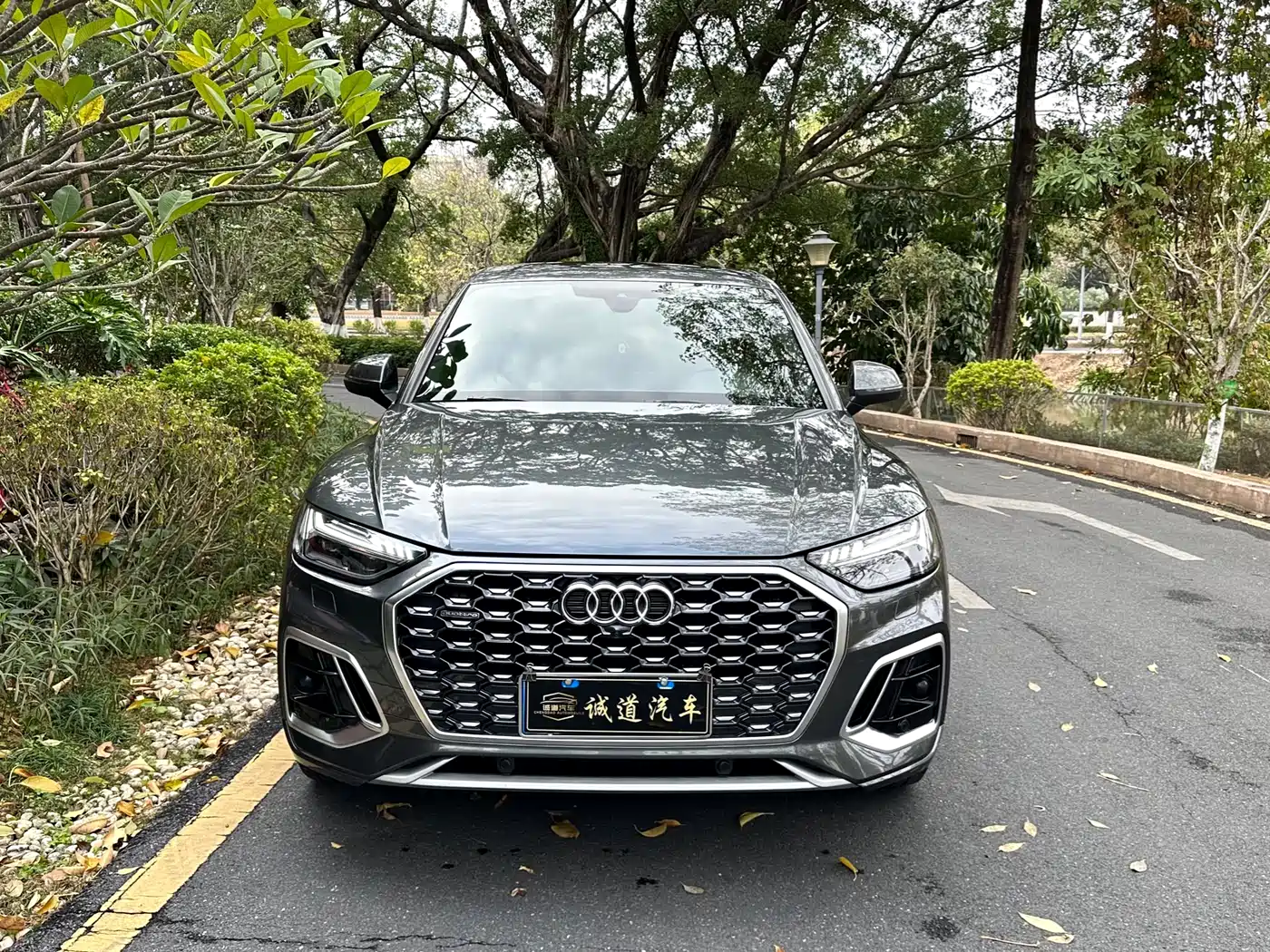 Audi Q5L Sportback 2021 45 TFSI Luxury фото 3