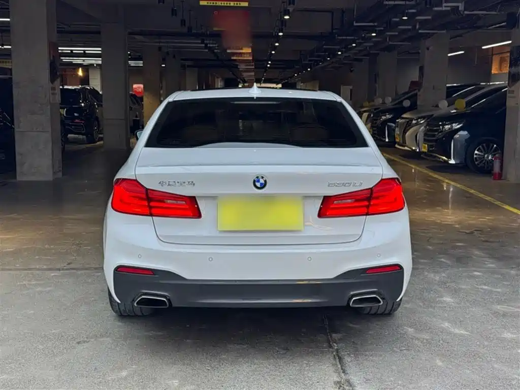 BMW 5 Series 2020 530Li Exclusive M Sport Package фото 7