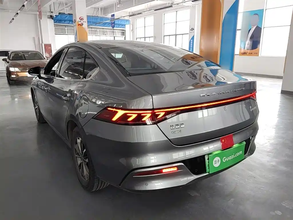 BYD Qin PLUS 2024 Glory Edition DM-i 55KM Leading фото 5