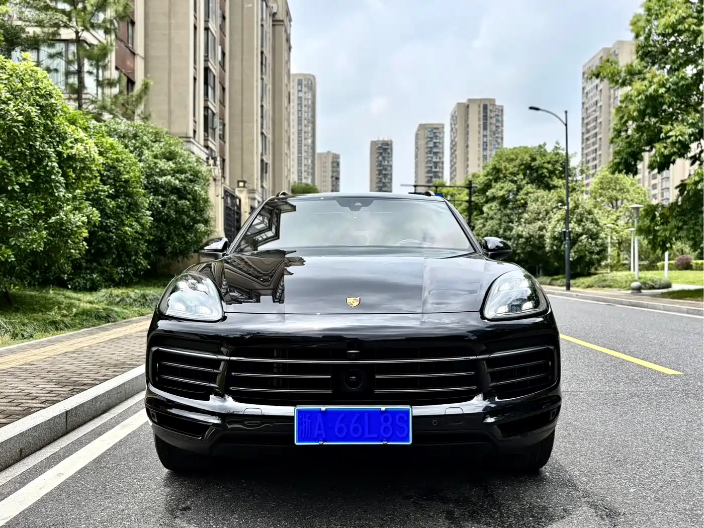 Porsche Cayenne 2022 Cayenne 3.0T Platinum Edition фото 2
