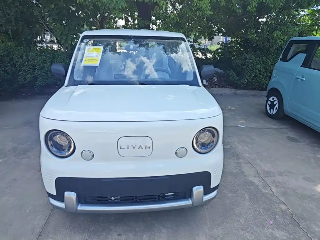 Ruilan Auto Ruilan Blue Elf 2026 2025 Base Model