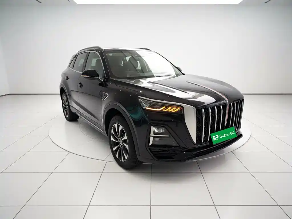 Hongqi HS5 2025 2025 2.0T 2WD Qixiang Pro