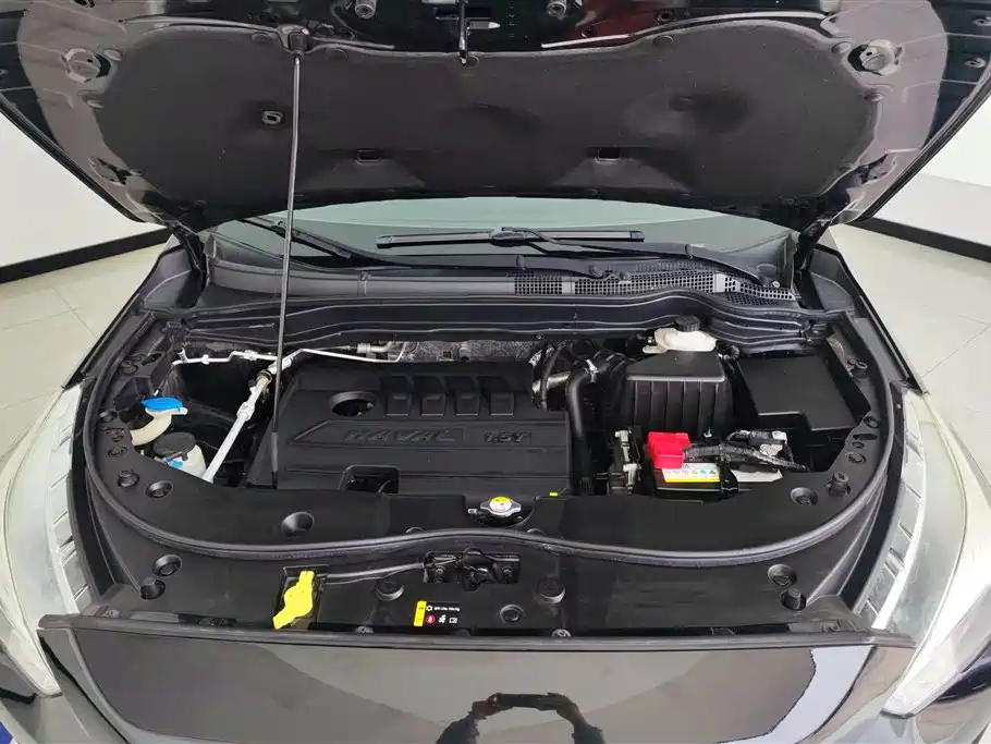 Haval M6 2019 1.5T DCT 2WD Elite Type China VI фото 10