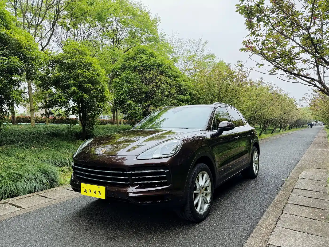 Porsche Cayenne 2019 Cayenne 3.0T