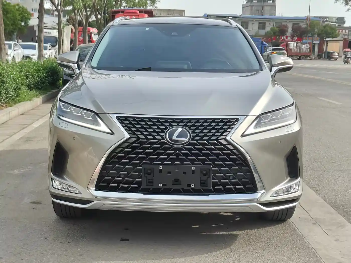 Lexus RX 2020 300 4WD Elegance Edition China VI фото 2