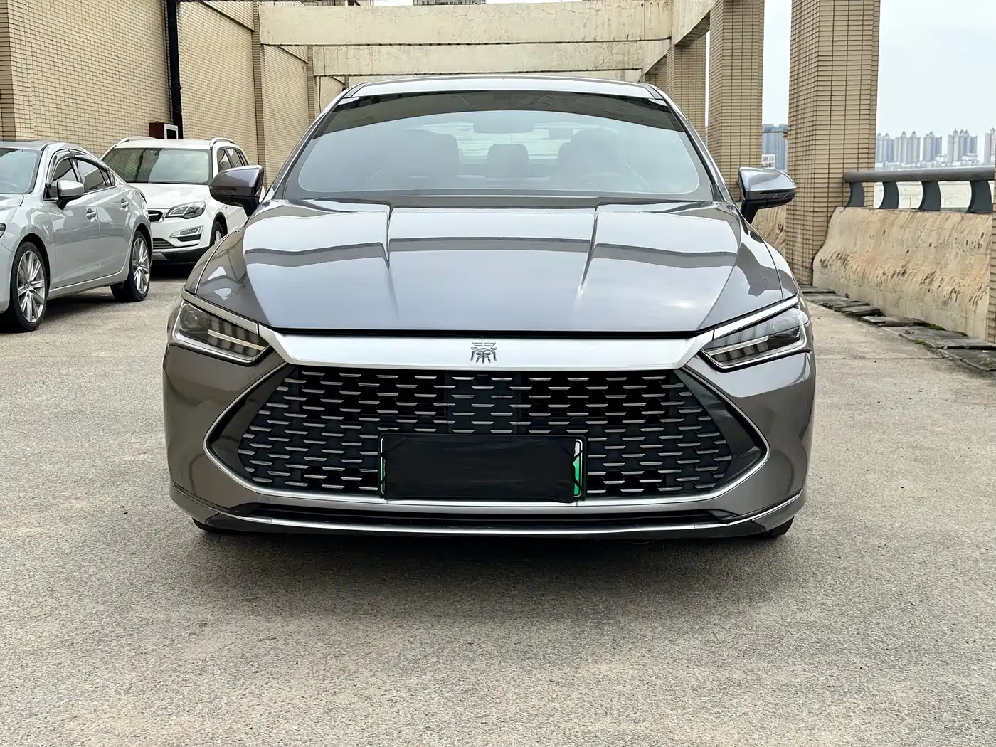 BYD Qin PLUS 2024 Glory Edition DM-i 55KM Leading фото 2