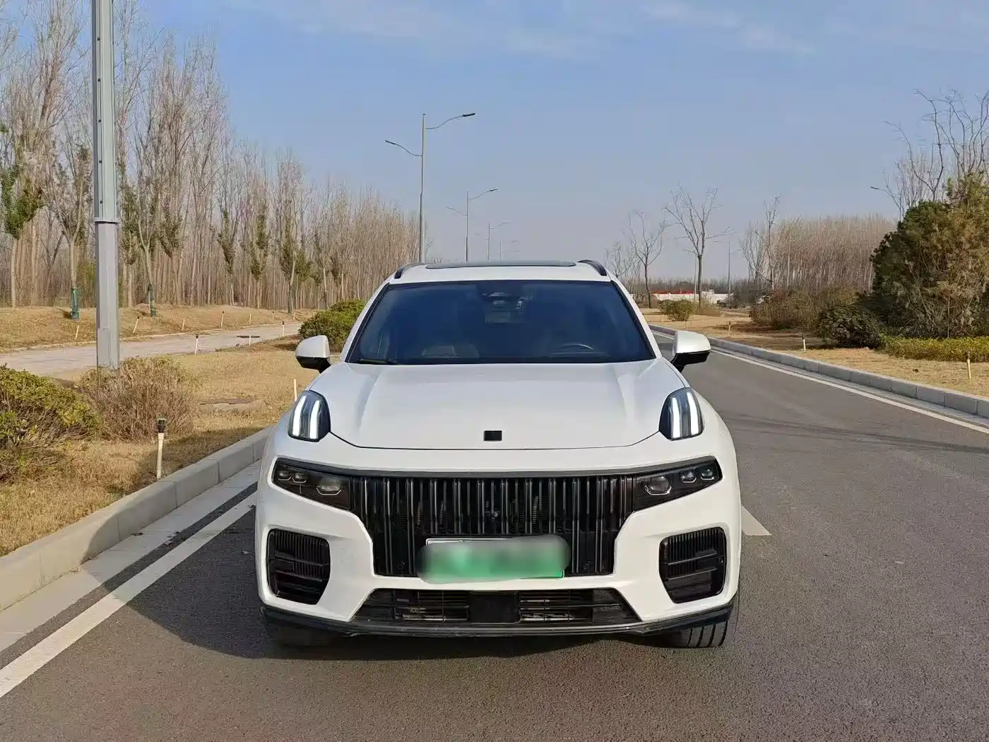 Lynk & Co 09 EM-P 2021 2.0T PHEV Halo 6-seater фото 2