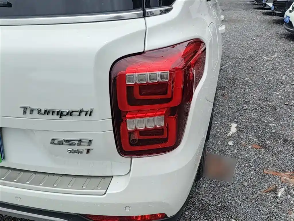 GAC Trumpchi Trumpchi GS8 2017 320T 2WD Luxury Edition (7-Seater) фото 8