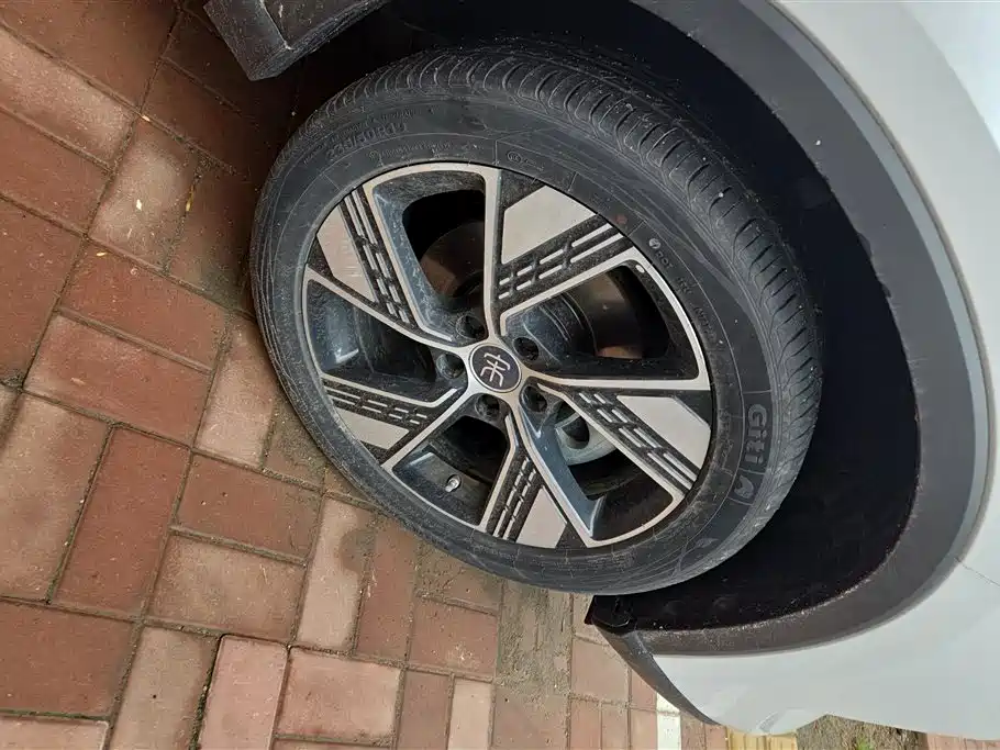 BYD Song Pro New Energy 2023 Champion Edition DM-i 110KM Excellence фото 6