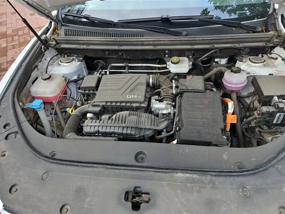 BYD Song Pro New Energy 2023 Champion Edition DM-i 110KM Excellence фото 10